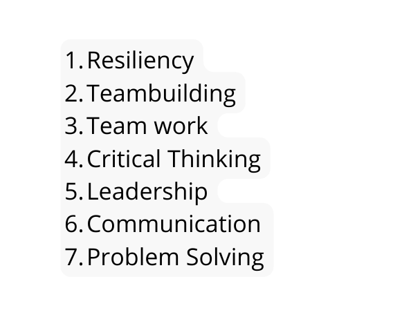 Resiliency Teambuilding Team work Critical Thinking Leadership Communication Problem Solving